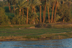 Egypt, Luxor-Esna, Nile Cruise
