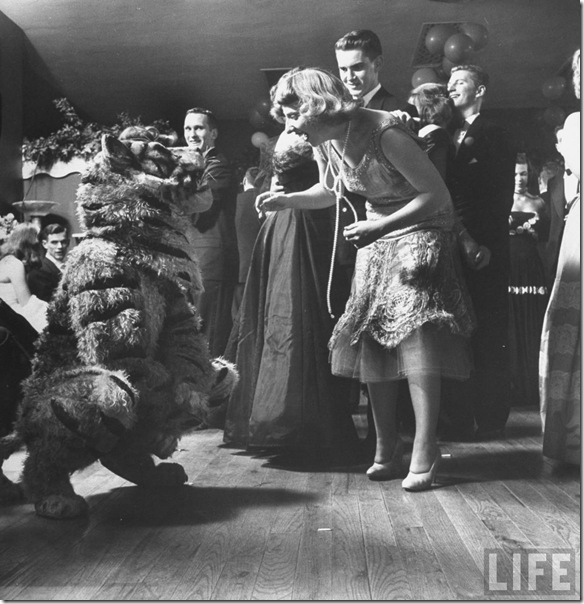 Tiger falling down, out of breath from the heat of his costume, while flapper Barbara Pettit watches
